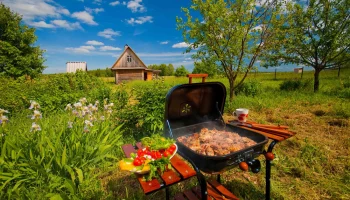 Дачный сезон официально начался